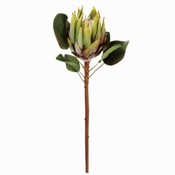 Winward　キングプロテア　グリーン　アーティフィシャルフラワー　造花　FW045270-023　ワイルドフラワー