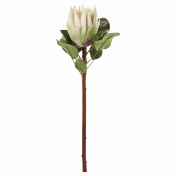 Winward　キングプロテア　ホワイト　アーティフィシャルフラワー　造花　FW045270-001　ワイルドフラワー