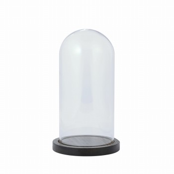 【完売品】ガラスドーム＆ウッド S　花器　GG510208　ガラスケース