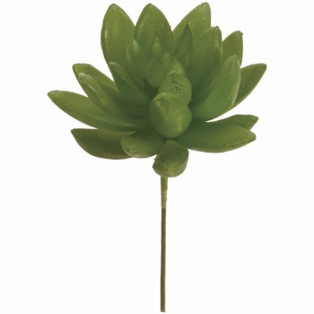 MAGIQ　セダム　プリマ　ライトグリーン　アーティフィシャルフラワー　造花　FG001733-023　多肉植物