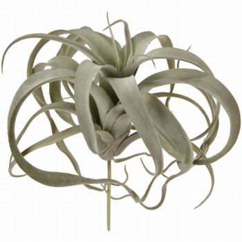 MAGIQ　ティランジア　ストレプトフィラ　グレイグリーン　アーティフィシャルフラワー　造花　FG001662-015　エアプランツ