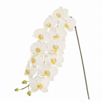 Winward　ファレノジュリアーノ L　ホワイト　アーティフィシャルフラワー　造花　FW093614-001　胡蝶蘭