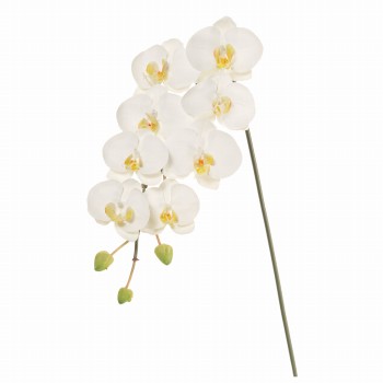 Winward　ファレノジュリアーノ M　ホワイト　アーティフィシャルフラワー　造花　FW093615-001　胡蝶蘭