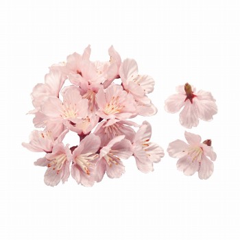 MAGIQ　薄紅の桜　落ち輪　アーティフィシャルフラワー　造花　1袋　桜　FM007045
