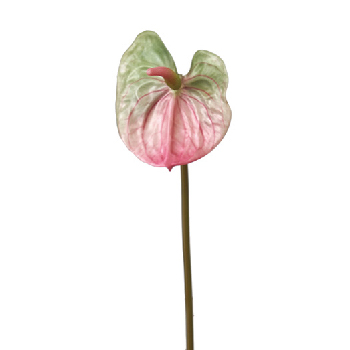 【今季完売】MAGIQ　レインボウアンスリウム　グリーン／ピンク　アーティフィシャルフラワー　造花　FM000193-052　アンスリウム
