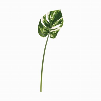MAGIQ　斑入りモンステラ　ホワイトグリーン　アーティフィシャルフラワー　造花　トロピカルリーフ　FG000381