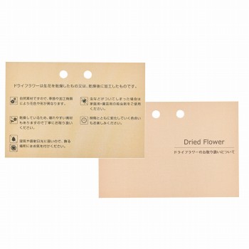 東京堂オリジナル　ドライフラワーカード　包装資材　20枚入　ZS000040