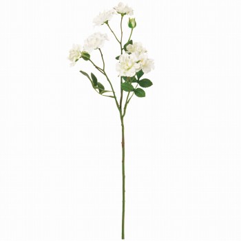 MAGIQ　バンクシアローズ　ホワイト　アーティフィシャルフラワー　造花　FM003841-001　バラ