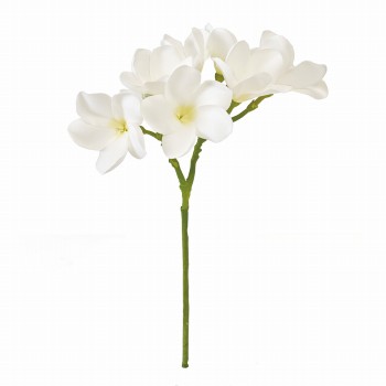 MAGIQ　プルメリアコナ　ホワイトグリーン　アーティフィシャルフラワー　造花　プルメリア　トロピカルフラワー　FM001604-001