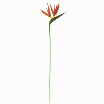 MAGIQ　プリマストレチア　オレンジ　アーティフィシャルフラワー　造花　FM004618　トロピカルフラワー