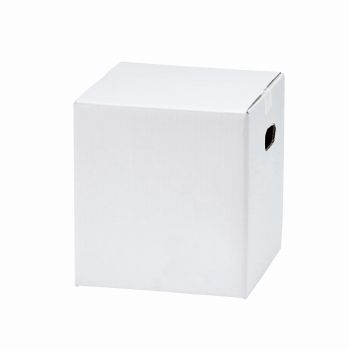 メールボックスSS　白　包装資材　10セット　パッケージ　フラワーアレンジメント用配送箱　GF018100