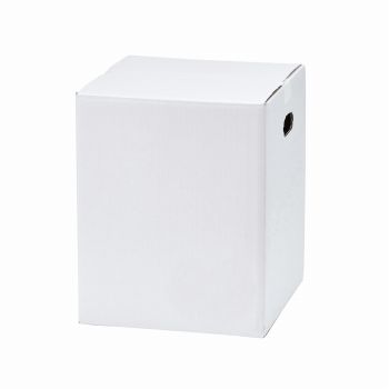 メールボックスS　白　包装資材　10セット　パッケージ　フラワーアレンジメント用配送箱　GF018200