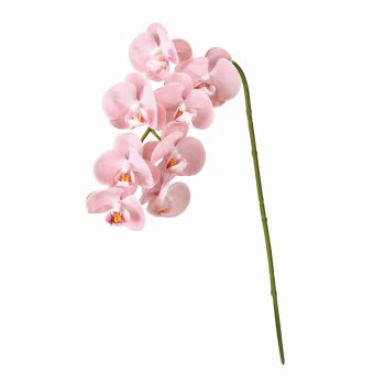 MAGIQ　ミニョンヌファレノ　ピンク　アーティフィシャルフラワー　造花　オーキッド　蘭　FM008806-002