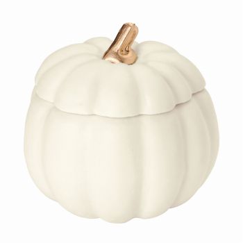 フタ付きパンプキン　ホワイト　ハロウィン　かぼちゃのアレンジベース　デコレーション素材　HW002400-001