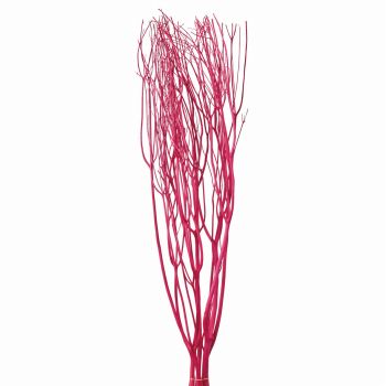 みつまた染　100cm　若紫（ピンクレッド）　ドライフラワー　枝もの　三又　カラー　FD010100-001