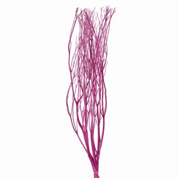 みつまた染　100cm　江戸紫（パープル）　ドライフラワー　枝もの　三又　カラー　FD010100-002