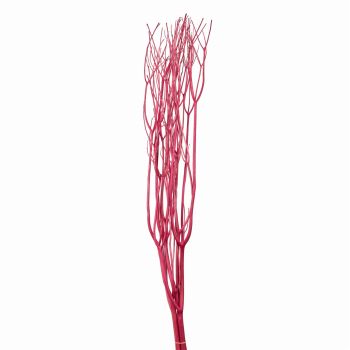 みつまた染　100cm　ローズ（ボルドー）　ドライフラワー　枝もの　カラー　FD010100-012