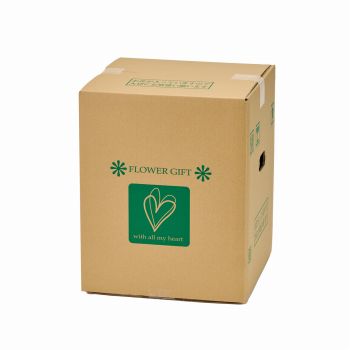 フラワーメールボックスS　20枚入　包装資材　パッケージ　アレンジBOX　GF028000