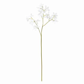 Winward　ピュオーラオーキッド　ホワイト　アーティフィシャルフラワー　造花　オーキッド　蘭　FW090343